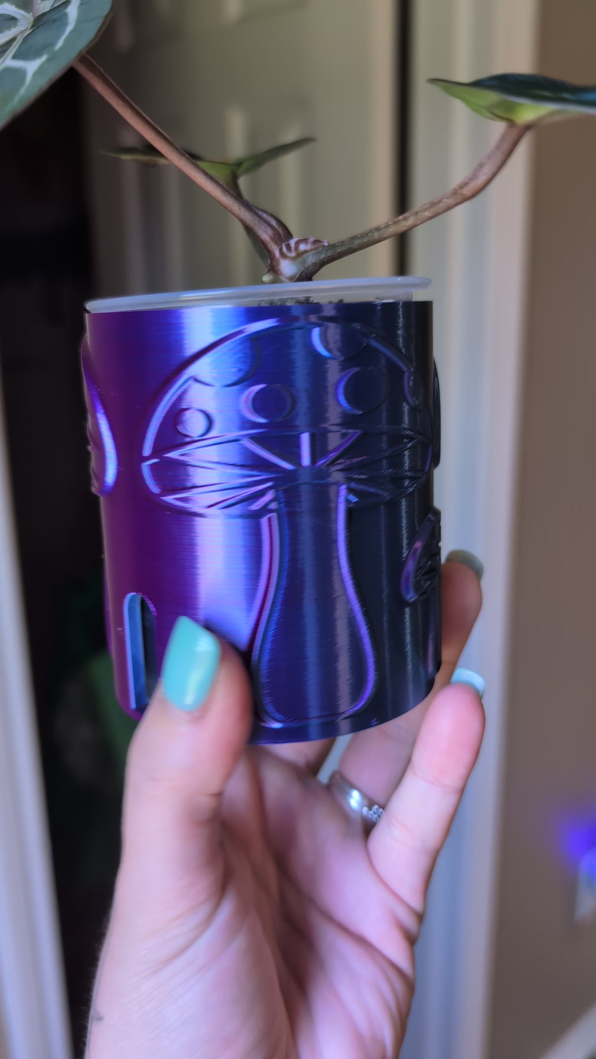 Mushie Self-Watering Pot