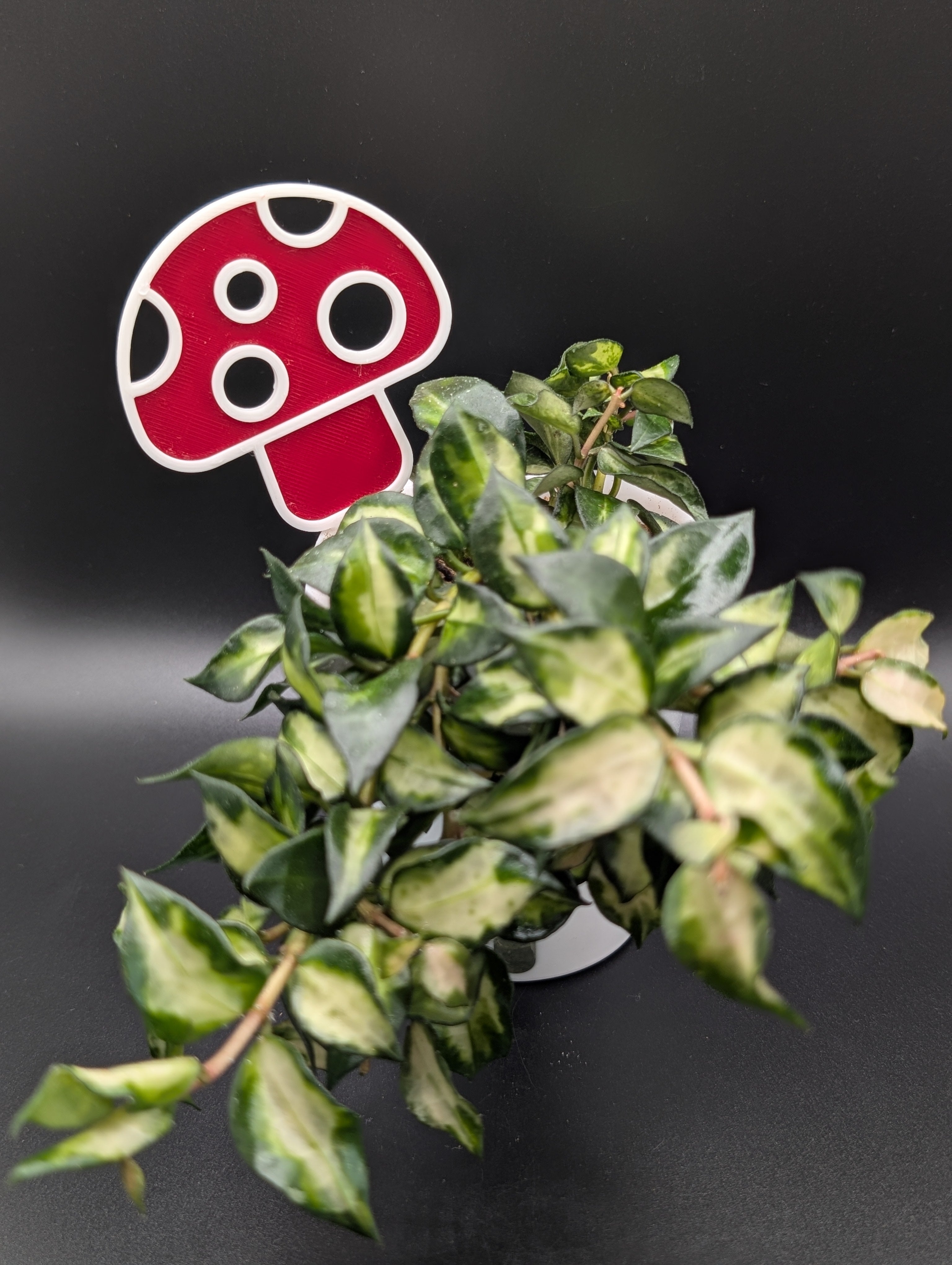 Mushie Plant Stakes