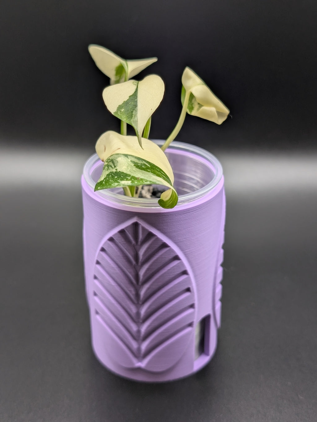 'Plant Bestie' Self-Watering Pot