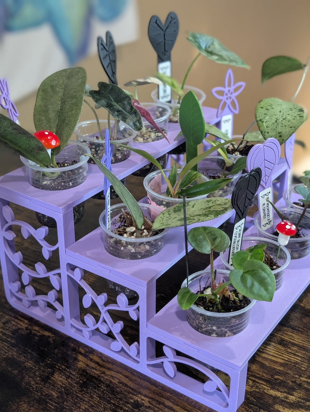 Leaf Lounge 🌿