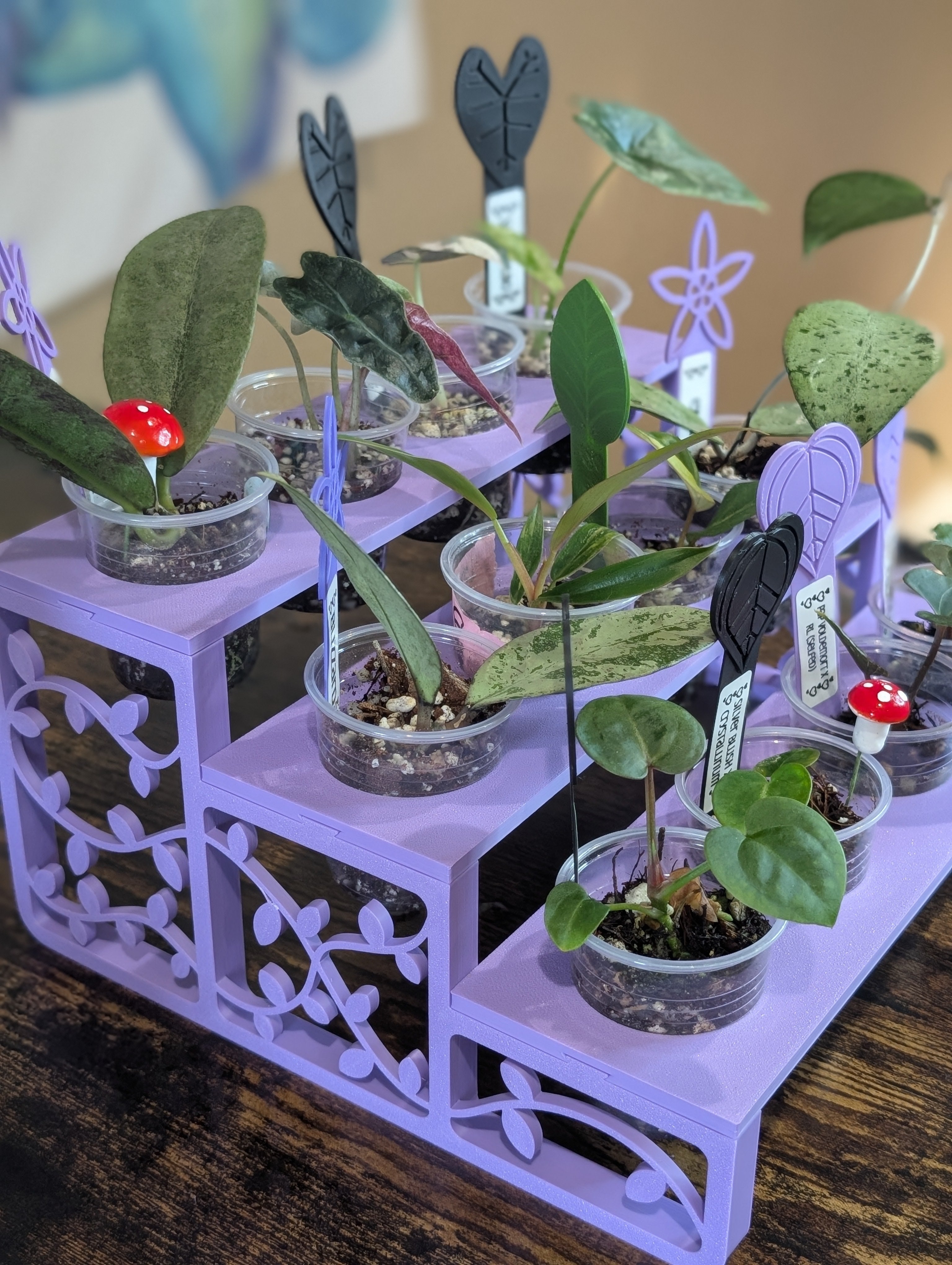 Leaf Lounge 🌿