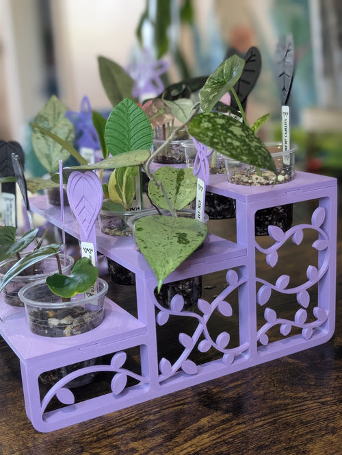 'Leaf Lounge'