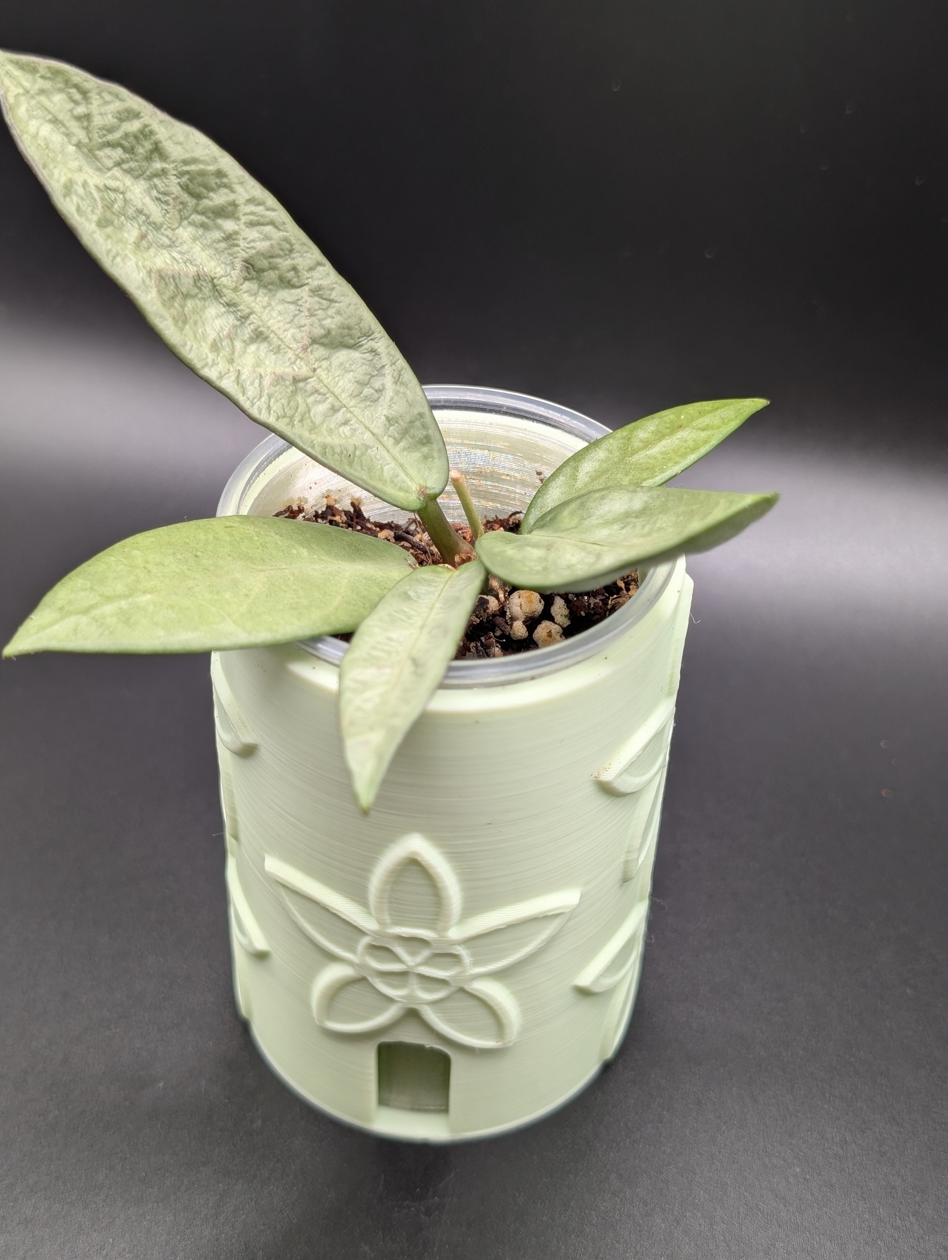 'Plant Bestie' Self-Watering Pot