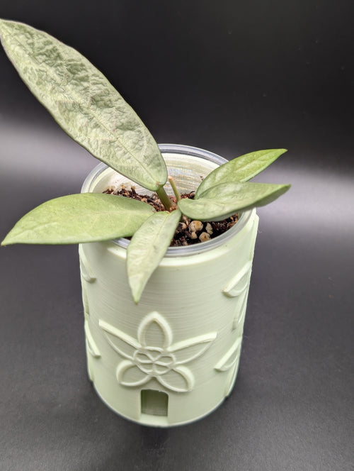 'Plant Bestie' Self-Watering Pot