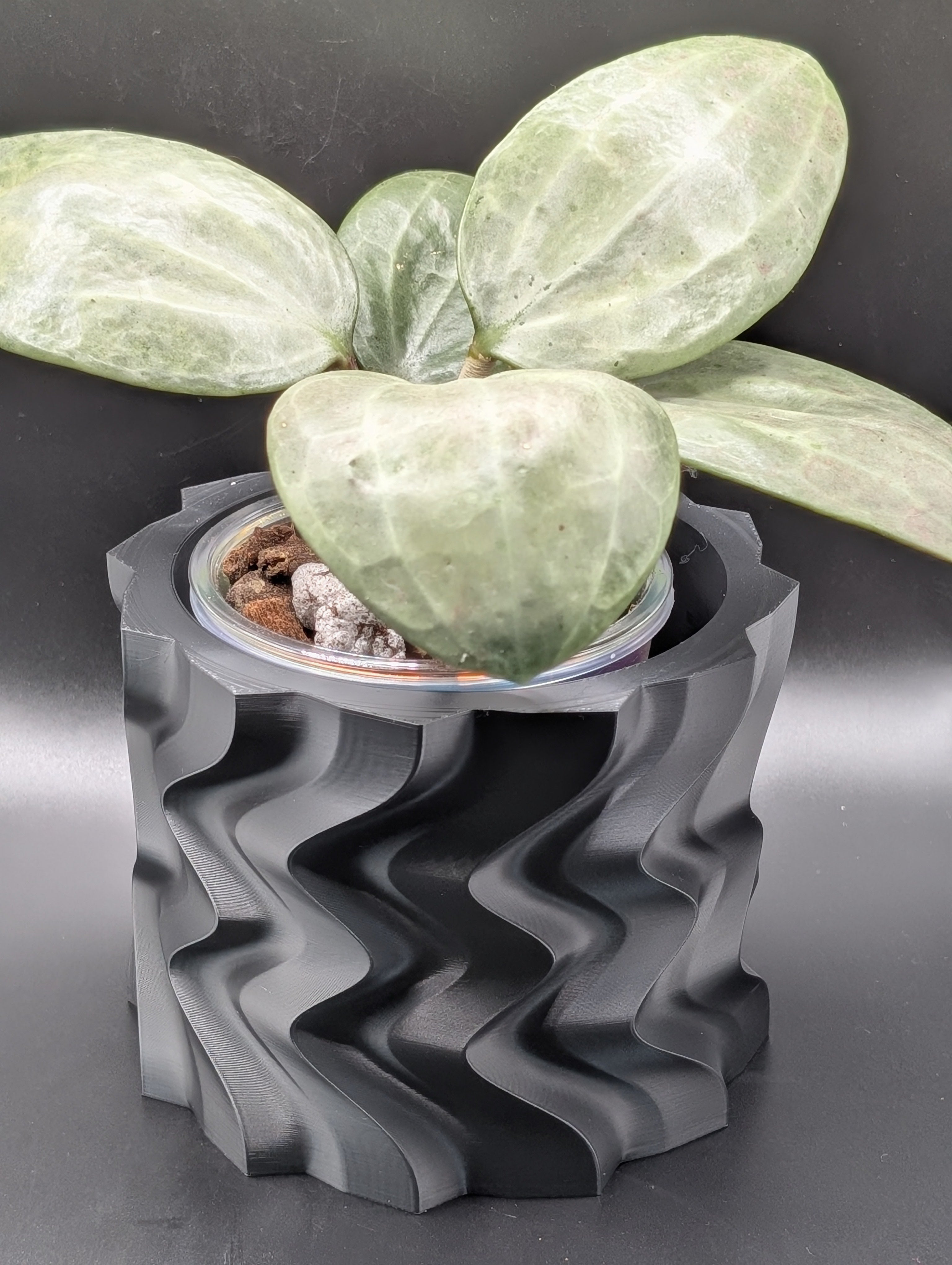 'Stay Trippy' Planter