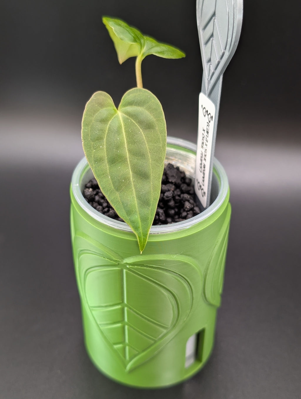 'Plant Bestie' Self-Watering Pot