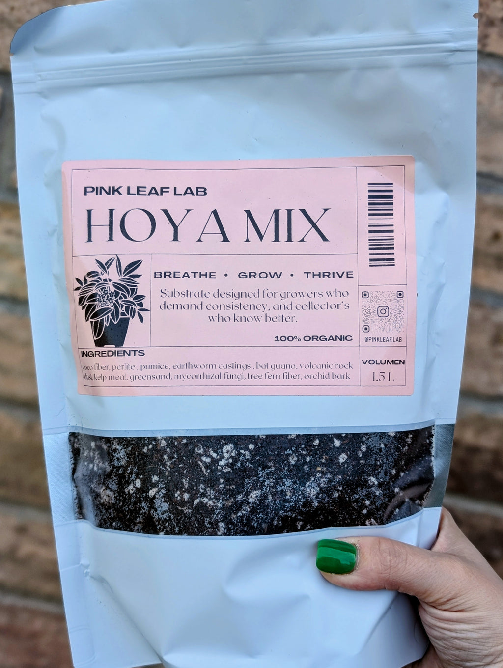 Pink Leaf Lab's Hoya Mix