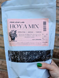 Pink Leaf Lab's Hoya Mix