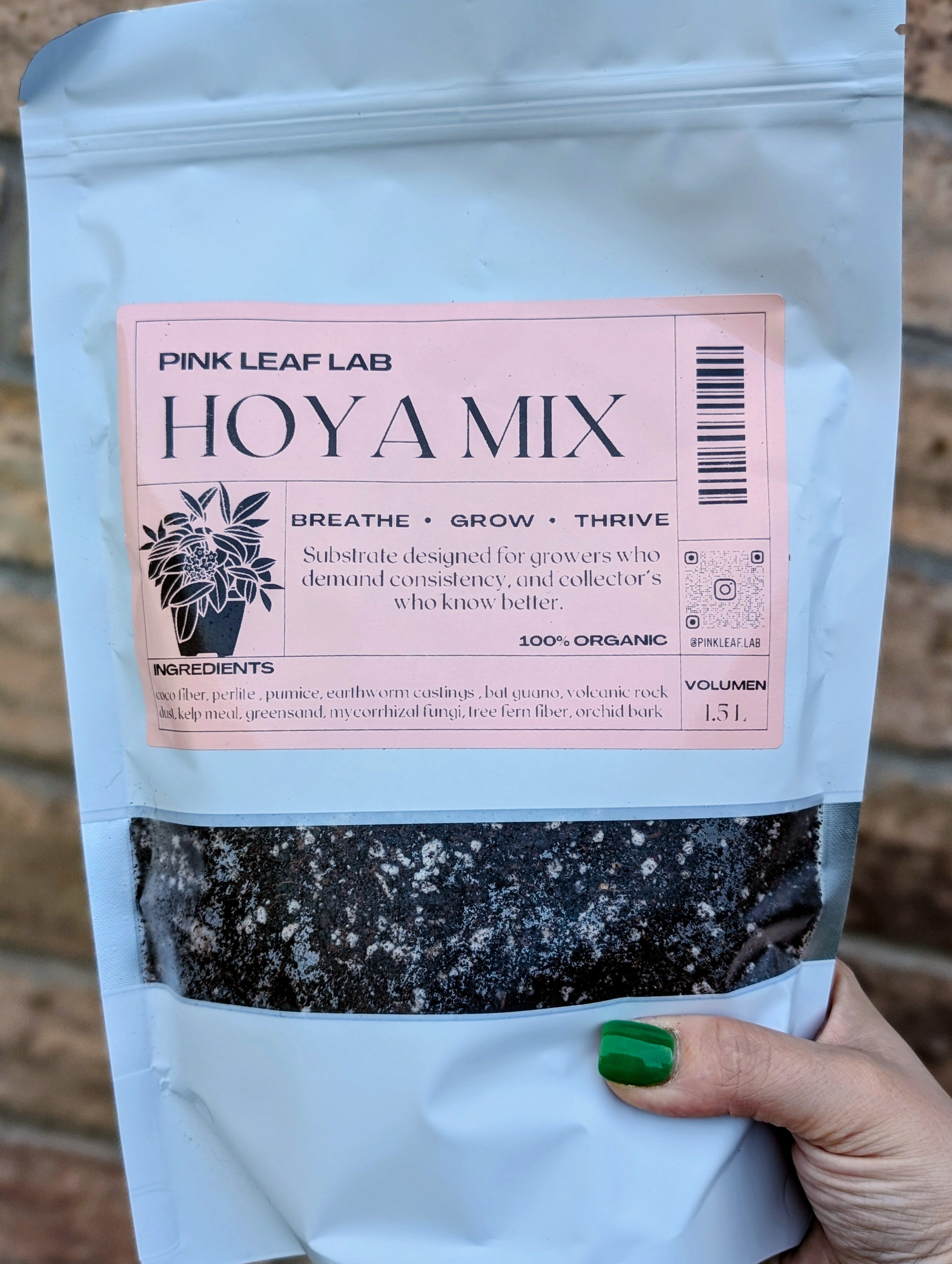 Pink Leaf Lab's Hoya Mix