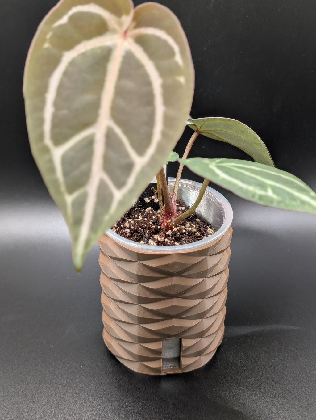 'Diamonds Aren't Forever' Self-Watering Pot